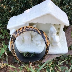 Faux Snakeskin Print Bangle Bracelet 3.5” Brown Bk